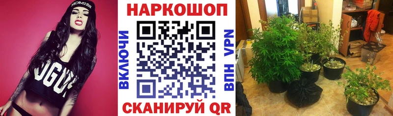 Купить Реутов Бошки Шишки  Alpha-PVP  COCAIN  ГАШ  Мефедрон 