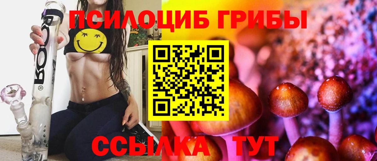 Псилоцибиновые грибы Psilocybine cubensis  Вход с VPN  Реутов  Псилоцибиновые грибы Magic Shrooms 